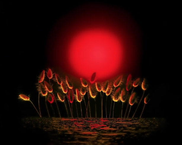 {084213DF-4343-44ED-9C1C-78361246B93B}.png