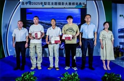 图片6.jpg