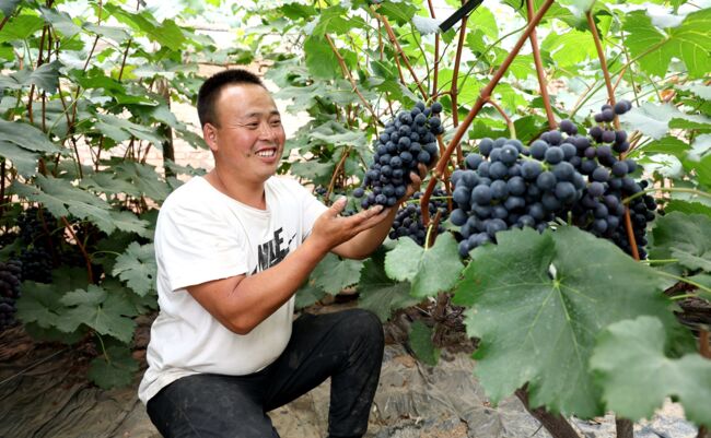 图片3.jpg