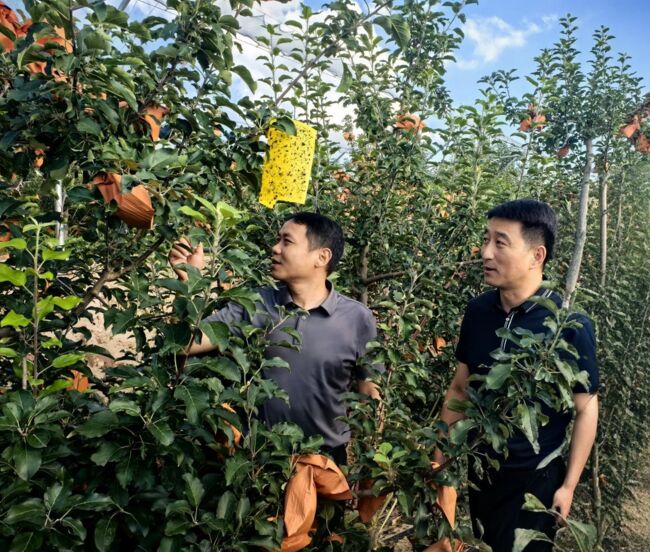 图片8.jpg