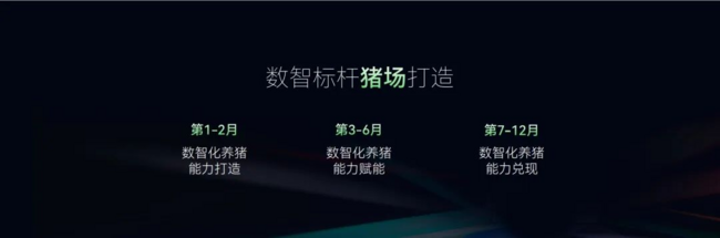 图片11.png