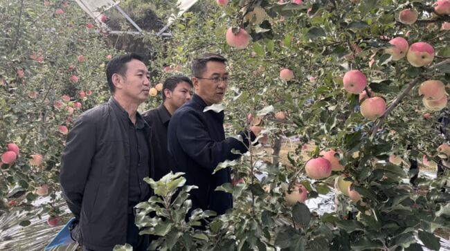 图1.jpg