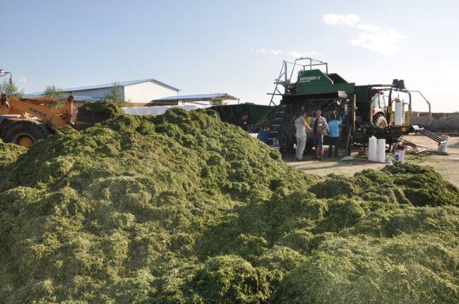 图片4 山阴县饲草打包现场.JPG